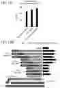 Fig. 16 - Methods and compositions for directed genome editing