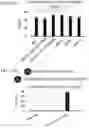 Fig. 27 - Methods and compositions for directed genome editing