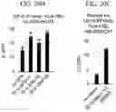 Fig. 29 - Methods and compositions for directed genome editing