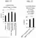 Fig. 30 - Methods and compositions for directed genome editing