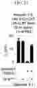 Fig. 31 - Methods and compositions for directed genome editing