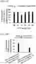 Fig. 36 - Methods and compositions for directed genome editing