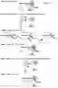 Fig. 38 - Methods and compositions for directed genome editing