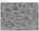 Fig. 08 - Method for manufacturing film for decoration element