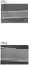 Fig. 02 - POLYVINYL ALCOHOL FIBER