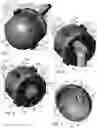 Fig. 02 - Internal combustion engine with adaptable piston stroke