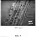 Fig. 08 - COMPOUND MICROSCOPE SYSTEM