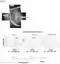 Fig. 02 - Method for relative quantitative analysis of polymer using MALDI mass spectrometry