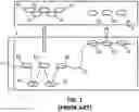 Fig. 02 - Enhanced extended depth of focusing on biological samples