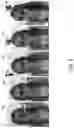 Fig. 09 - Processing and formatting video for interactive presentation