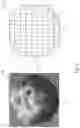 Fig. 02 - APPARATUS AND METHOD FOR CONTROLLING WAFER UNIFORMITY