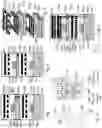 Fig. 02 - 3D SEMICONDUCTOR DEVICE AND STRUCTURE
