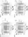 Fig. 09 - Enlarging contact area and process window for a contact via