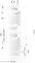 Fig. 09 - Semiconductor devices and methods of manufacturing semiconductor devices