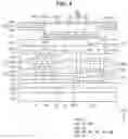 Fig. 05 - Display device and method of manufacturing the same