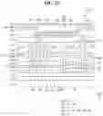 Fig. 23 - Display device and method of manufacturing the same