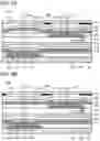 Fig. 04 - Display device, display module, and electronic device