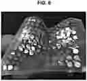Fig. 09 - Bidirectional stretchable and flexible wearable thermoelectric module