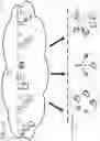 Fig. 02 - Intelligent quarantine on switch fabric for physical and virtualized infrastructure