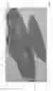 Fig. 02 - Protective shield for individual respirators and face masks