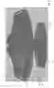 Fig. 06 - Protective shield for individual respirators and face masks