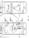 Fig. 43 - Wearable Pulse Waveform Measurement System and Method