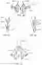 Fig. 12 - Prosthetic heart valve