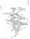 Fig. 70 - Prosthetic heart valve