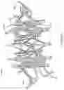Fig. 75 - Prosthetic heart valve