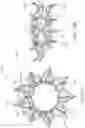 Fig. 86 - Prosthetic heart valve