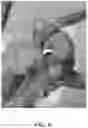 Fig. 07 - IMPLANTABLE SCAFFOLDS AND USES THEREOF