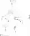 Fig. 09 - Patient support apparatus