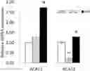 Fig. 01 - Compositions and methods for regulating body weight and metabolic syndromes