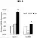 Fig. 02 - Compositions and methods for regulating body weight and metabolic syndromes