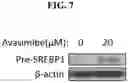 Fig. 08 - Compositions and methods for regulating body weight and metabolic syndromes