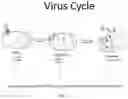 Fig. 02 - Method and composition for preventing and treating viral infections