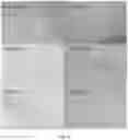 Fig. 10 - Method and composition for preventing and treating viral infections
