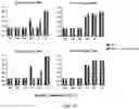 Fig. 33 - Method and composition for preventing and treating viral infections