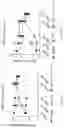 Fig. 33 - Transient protection of normal cells during chemotherapy