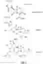 Fig. 02 - Compositions and methods for inhibiting type 1 collagen production