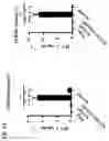 Fig. 02 - NOVEL TH1-INDUCING ADJUVANT COMPRISING COMBINATION OF DIFFERENT NUCLEIC ACID ADJUVANTS, AND USE OF SAME