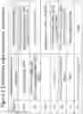 Fig. 14 - Recombinant multivalent influenza viruses