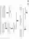 Fig. 47 - Recombinant multivalent influenza viruses