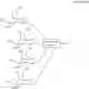 Fig. 43 - Compositions and methods for targeted RNA delivery