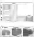 Fig. 04 - PLURIPOTENT STEM CELL-DERIVED PLATE-SHAPED CARTILAGE AND METHOD FOR PRODUCING THE SAME