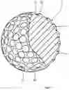 Fig. 02 - Golf ball