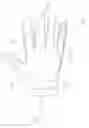 Fig. 02 - Support for use with a glove