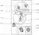 Fig. 01 - NON-TRANSITORY COMPUTER-READABLE MEDIUM AND VIDEO GAME PROCESSING SYSTEM