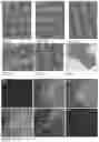 Fig. 04 - Magnetic Nanoparticle Distribution in Microfluidic Chip