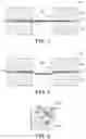 Fig. 02 - Microfluidic devices